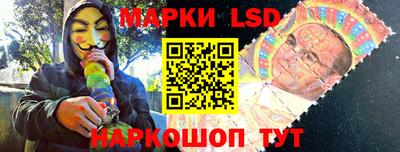 шишки Аргун