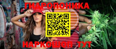 шишки Аргун